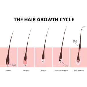 What causes hair loss 20